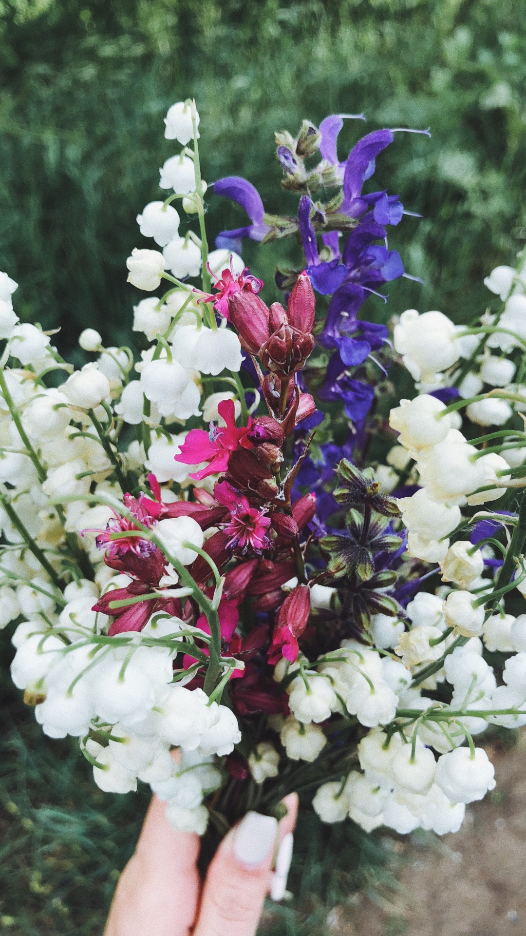 Lila, Blumenmuster, Blühende Pflanze, Schnittblumen, Blütenblatt. Wallpaper in 1080x1920 Resolution