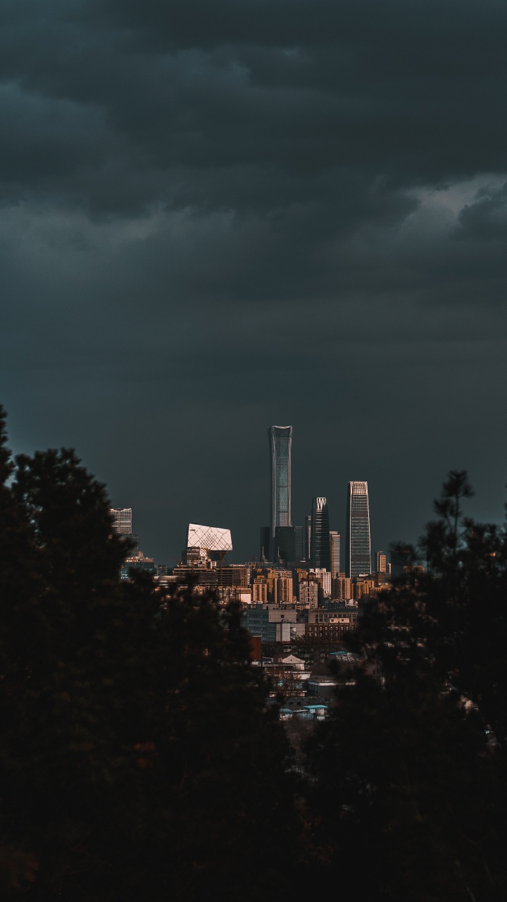 Grüne Bäume in Der Nähe Von Stadtgebäuden Während Der Nacht Night. Wallpaper in 720x1280 Resolution