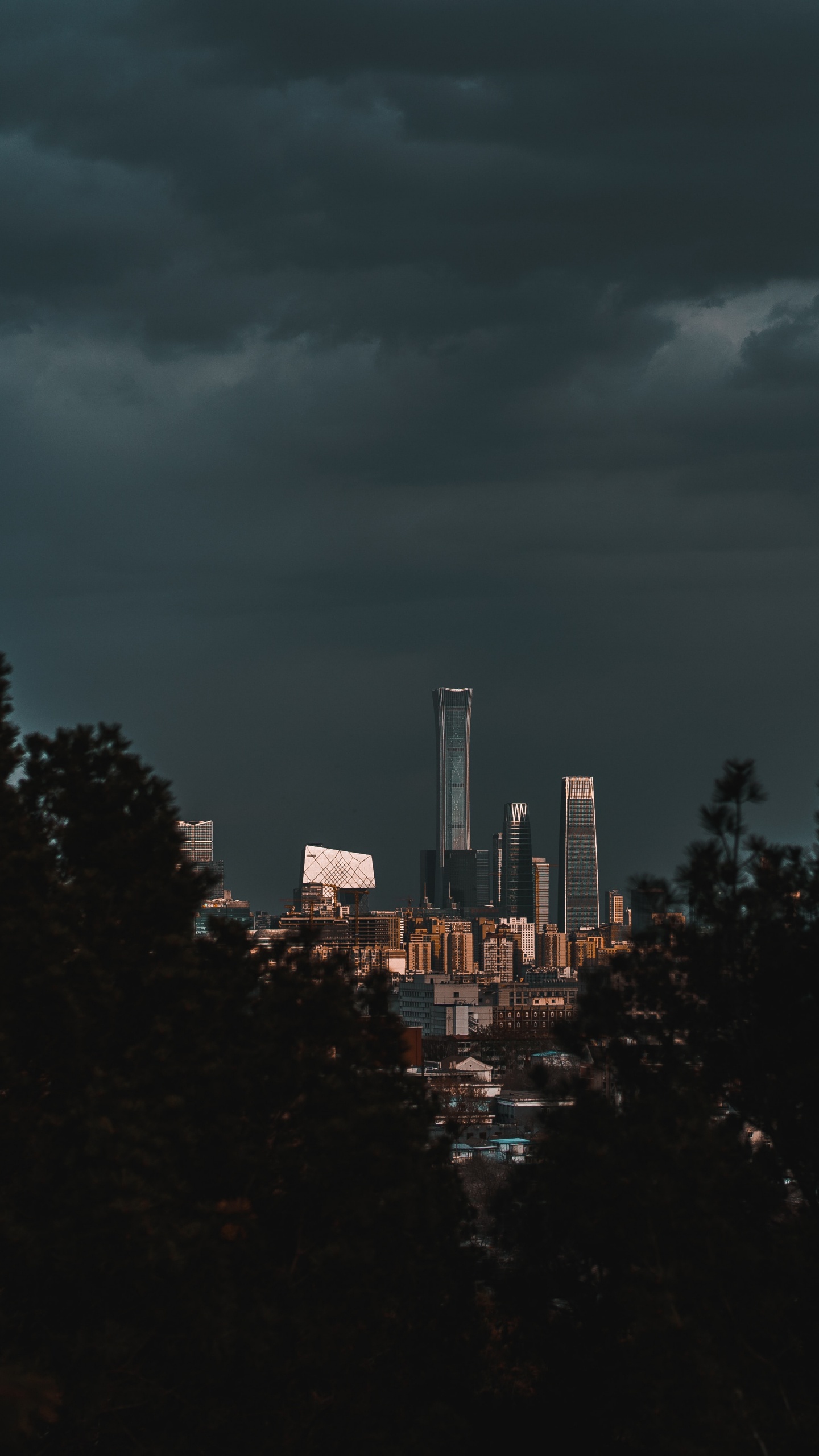 Arbres Verts Près Des Bâtiments de la Ville Pendant la Nuit. Wallpaper in 1440x2560 Resolution
