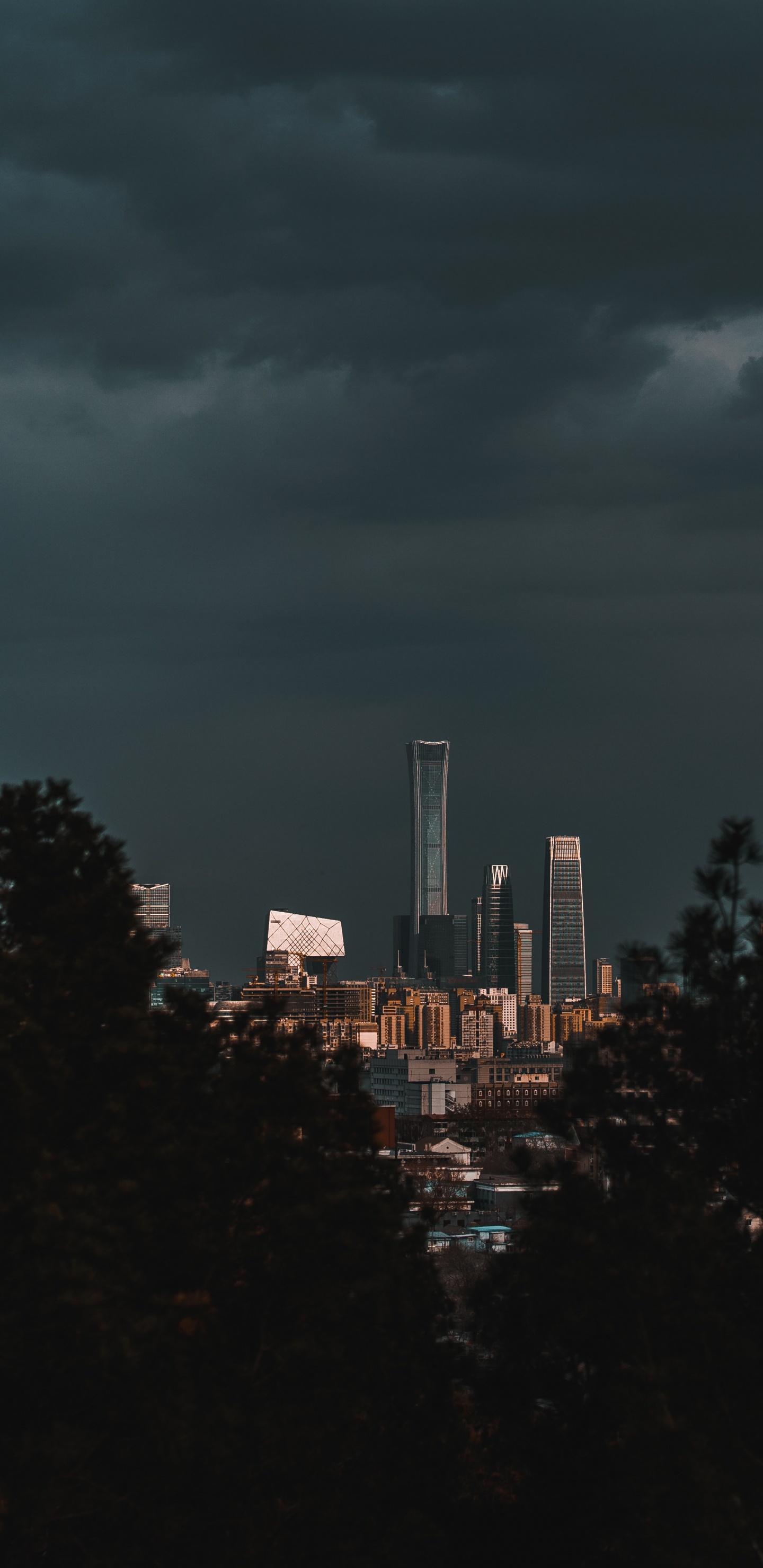Arbres Verts Près Des Bâtiments de la Ville Pendant la Nuit. Wallpaper in 1440x2960 Resolution
