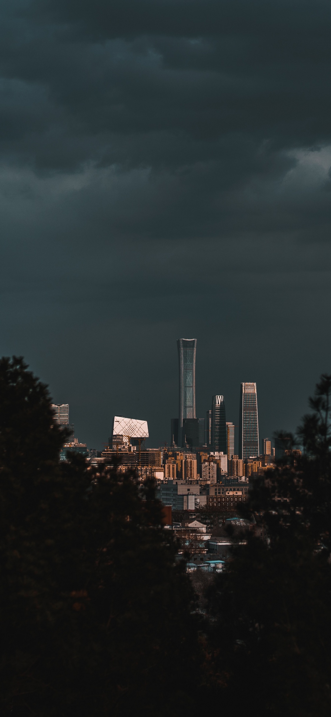 Green Trees Near City Buildings During Night Time. Wallpaper in 1125x2436 Resolution