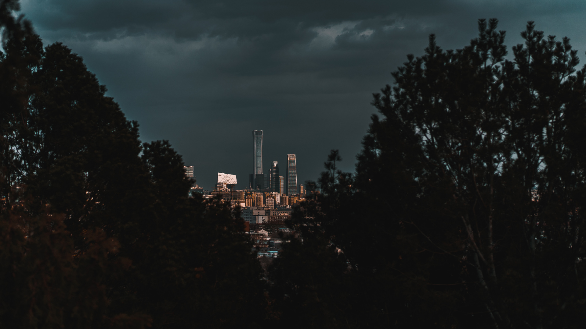Green Trees Near City Buildings During Night Time. Wallpaper in 1920x1080 Resolution