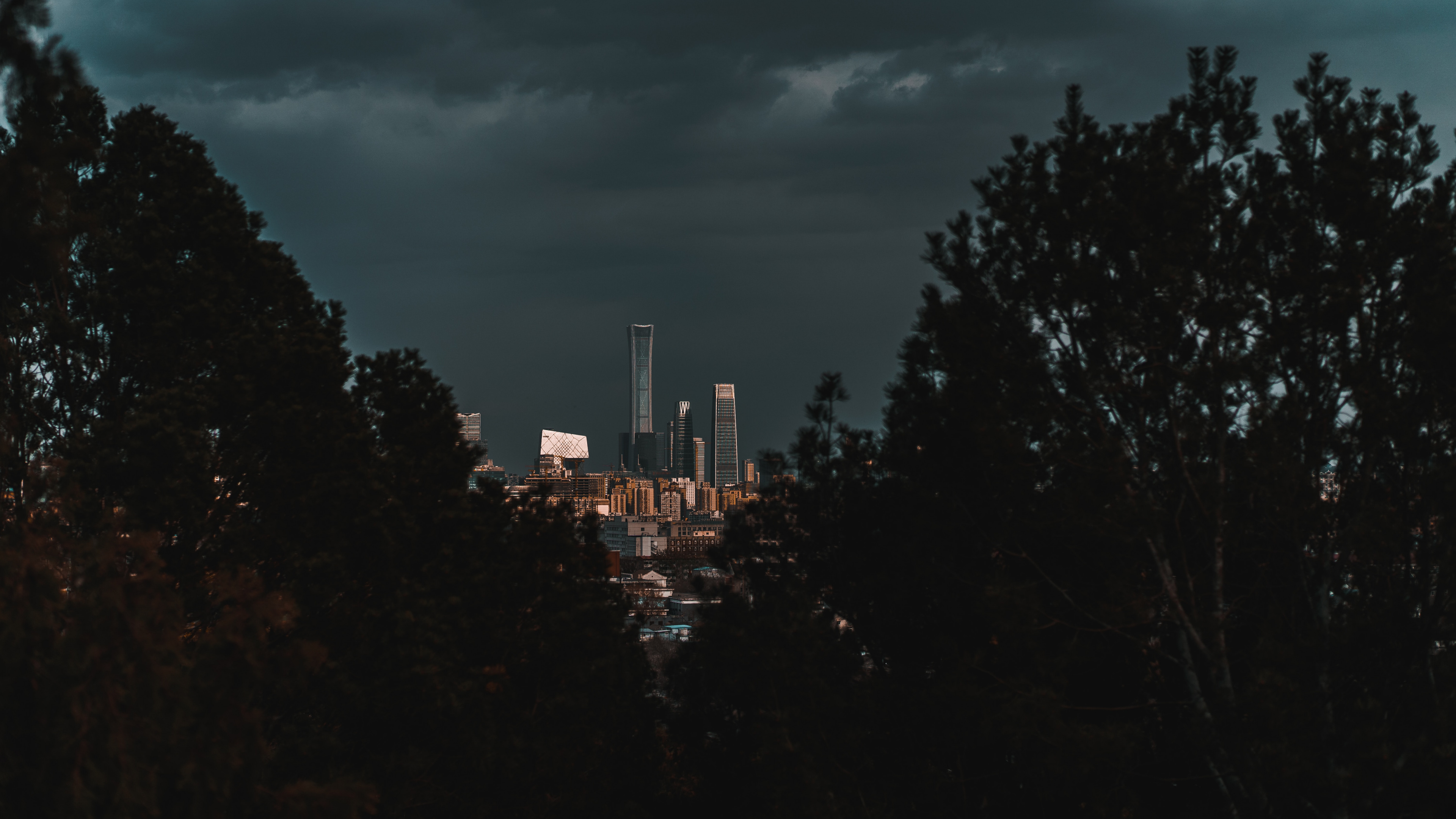 Green Trees Near City Buildings During Night Time. Wallpaper in 3840x2160 Resolution