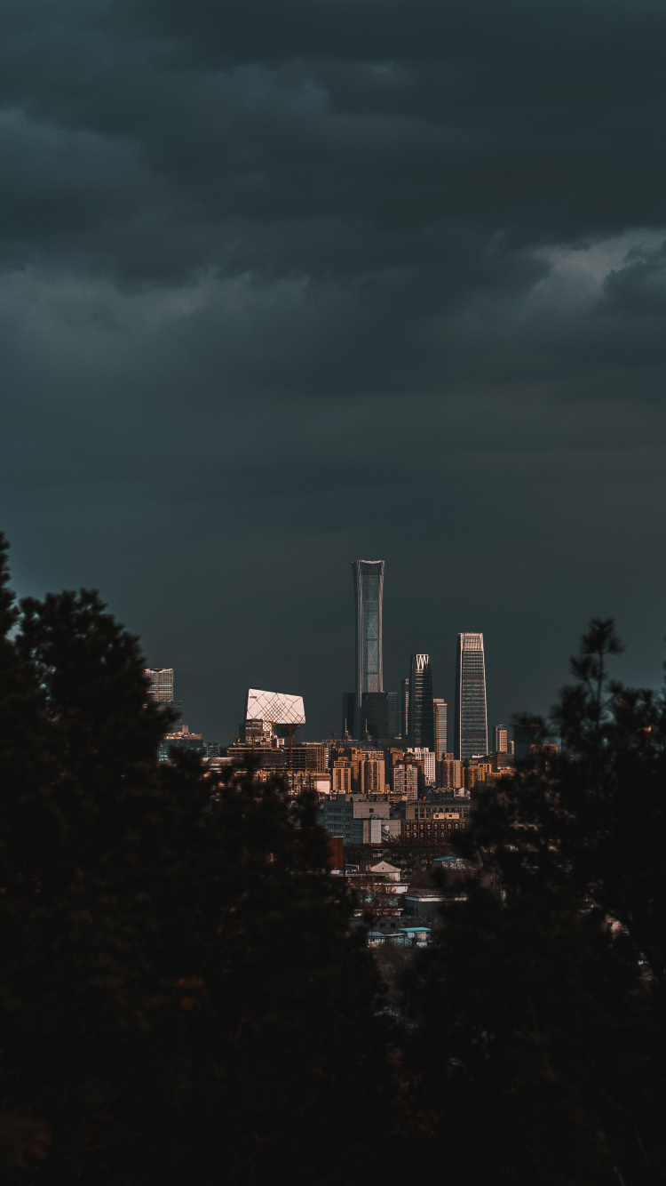 Green Trees Near City Buildings During Night Time. Wallpaper in 750x1334 Resolution
