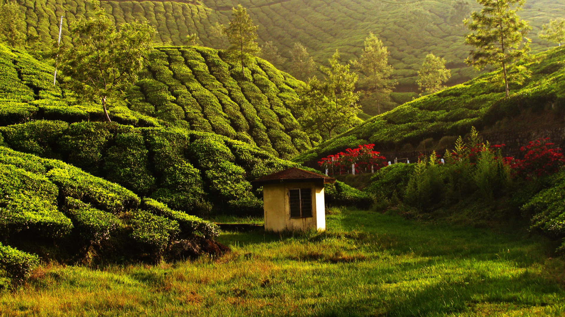 Casa Blanca y Marrón en el Campo de Hierba Verde Cerca de la Montaña. Wallpaper in 1920x1080 Resolution
