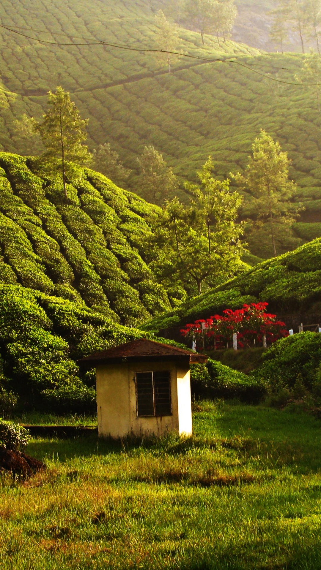 White and Brown House on Green Grass Field Near Mountain. Wallpaper in 1080x1920 Resolution