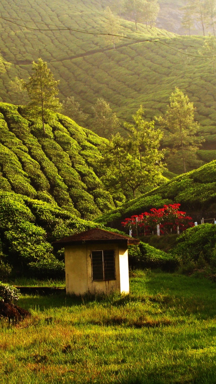 White and Brown House on Green Grass Field Near Mountain. Wallpaper in 720x1280 Resolution