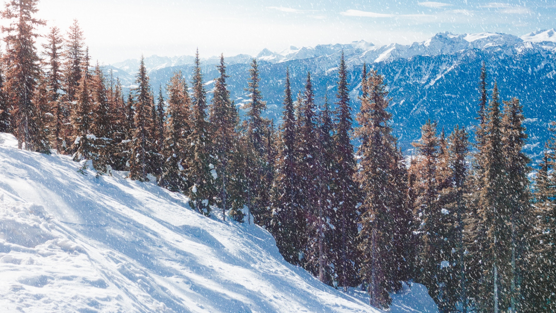 Snow, Winter, Tree, Mountain, Mountainous Landforms. Wallpaper in 1920x1080 Resolution