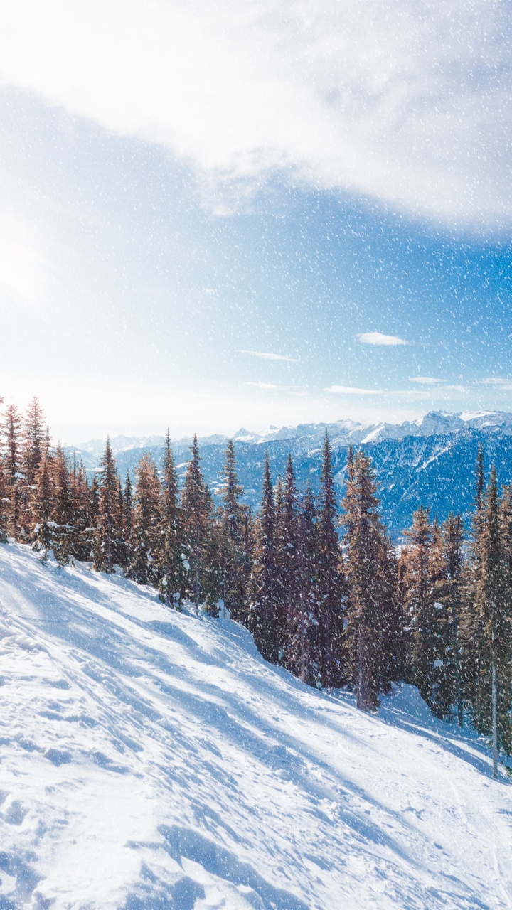 Snow, Winter, Tree, Mountain, Mountainous Landforms. Wallpaper in 720x1280 Resolution
