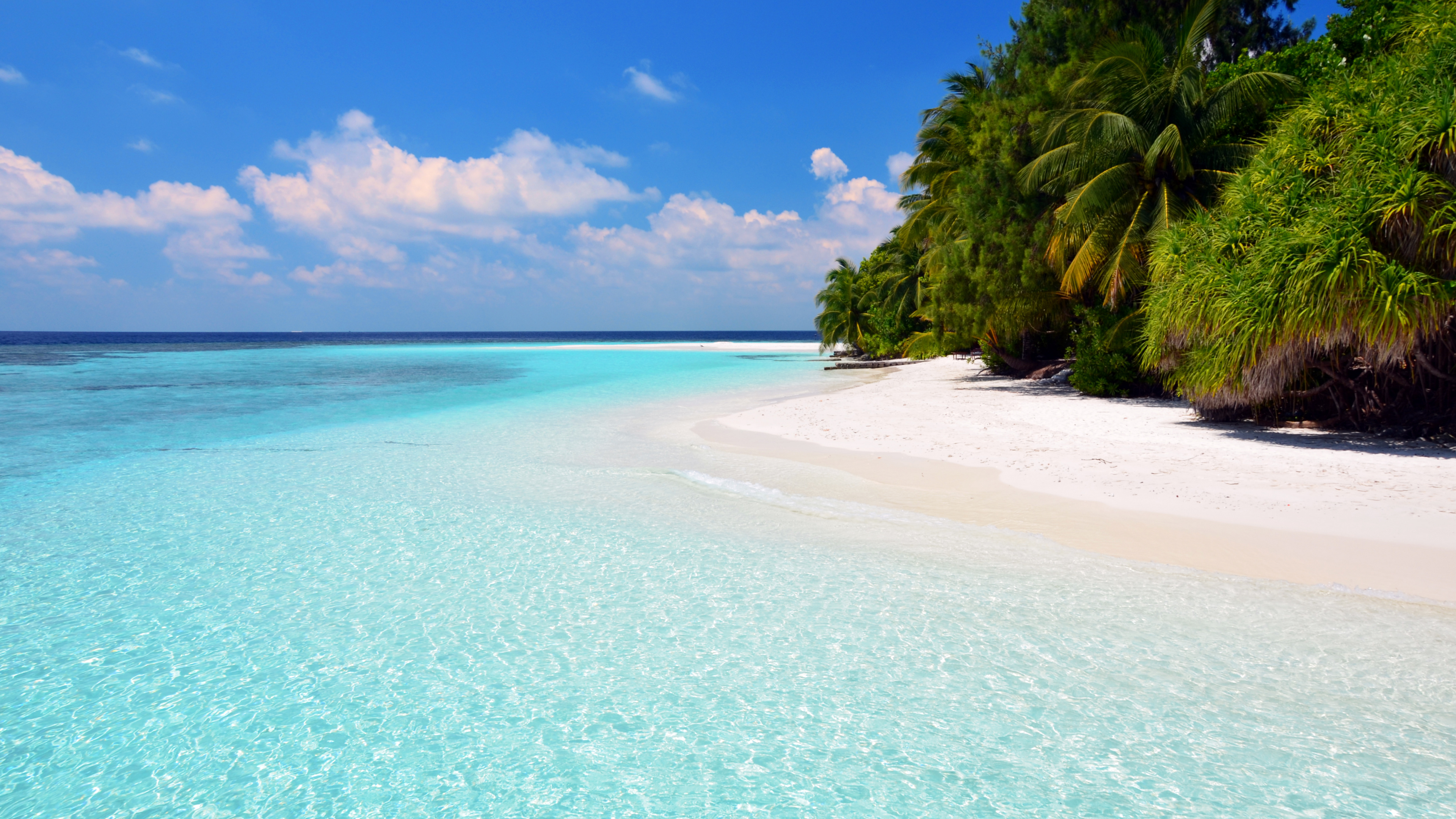 Green Palm Tree on White Sand Beach During Daytime. Wallpaper in 3840x2160 Resolution