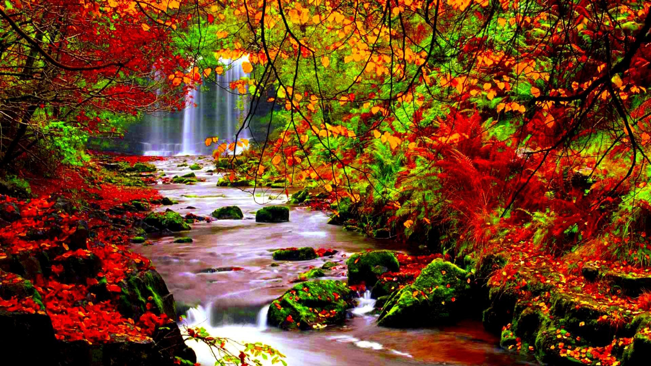 Red and Yellow Leaves on River. Wallpaper in 1280x720 Resolution