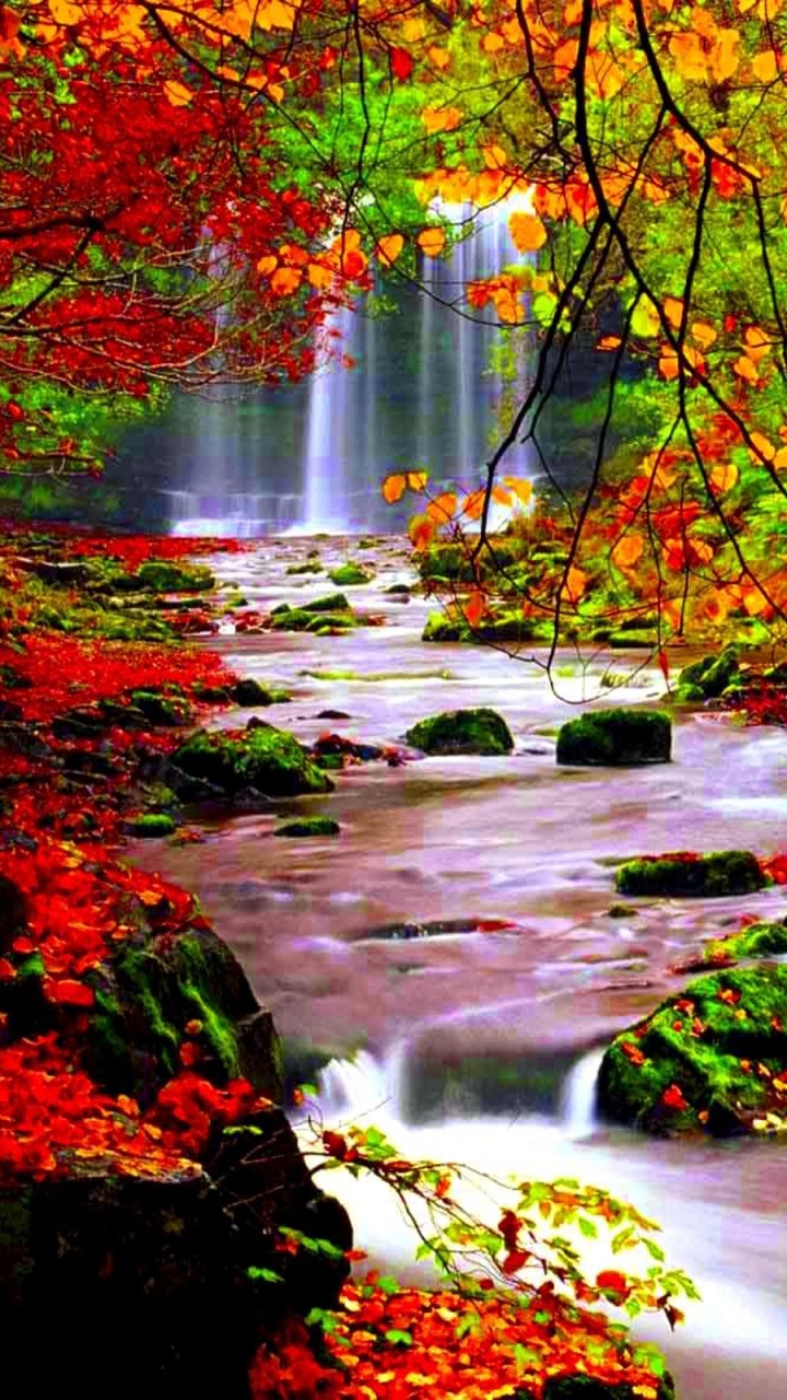 Red and Yellow Leaves on River. Wallpaper in 720x1280 Resolution