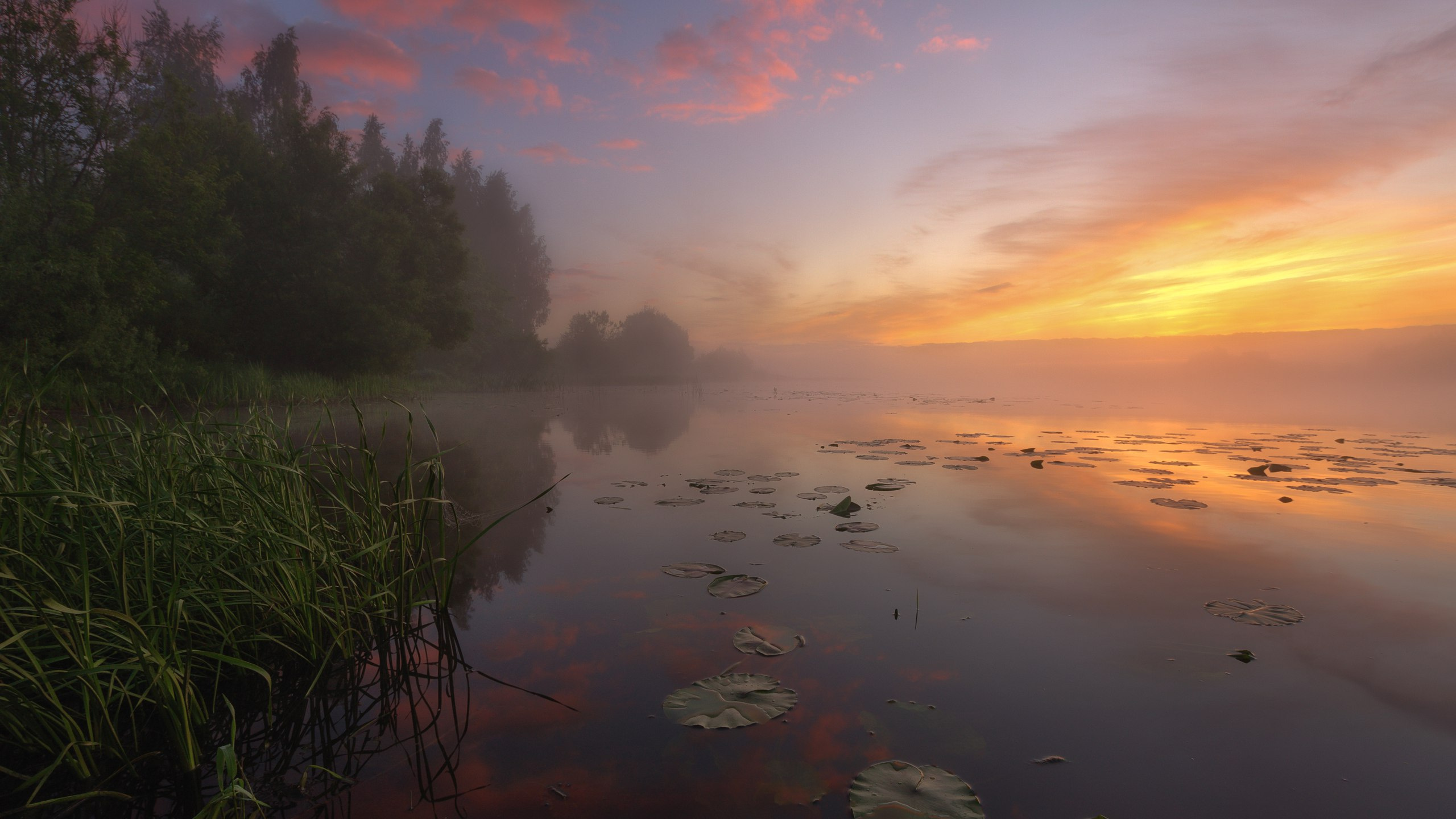 Grünes Gras in Der Nähe Von Gewässern Während Des Sonnenuntergangs. Wallpaper in 2560x1440 Resolution