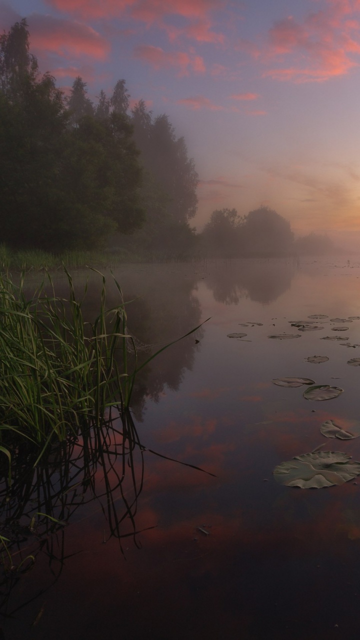 Green Grass Near Body of Water During Sunset. Wallpaper in 720x1280 Resolution