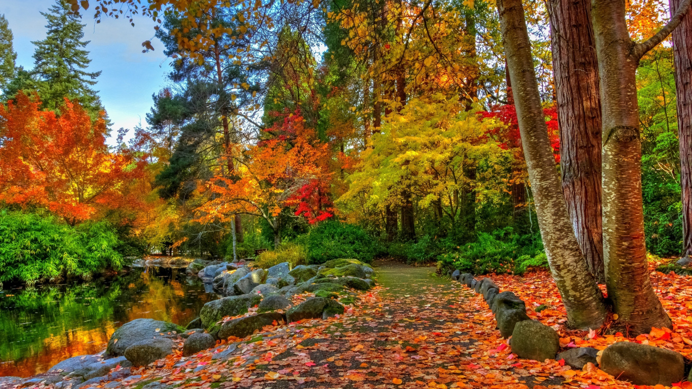 性质, 植被, 自然保护区, 电视, 季节 壁纸 1366x768 允许