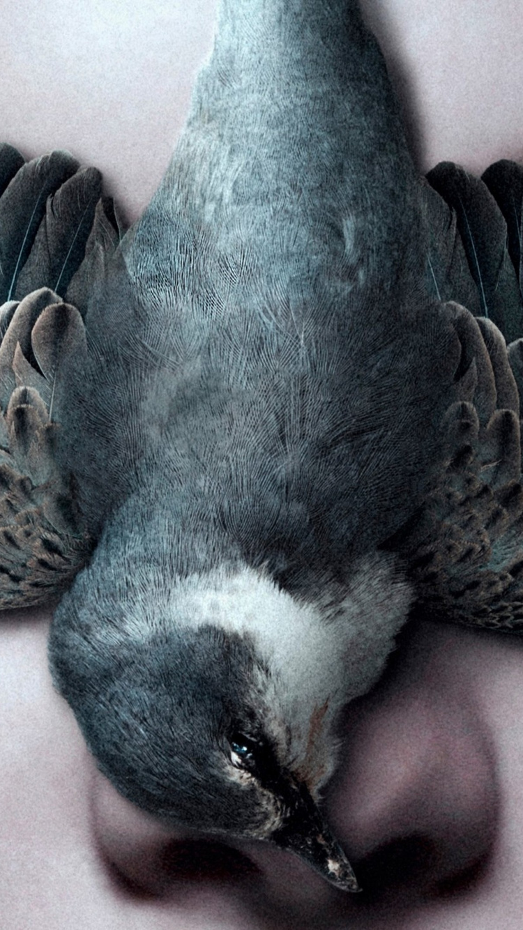 Drama, Filmgenre, Geheimnis, Film-poster, Regisseur. Wallpaper in 750x1334 Resolution