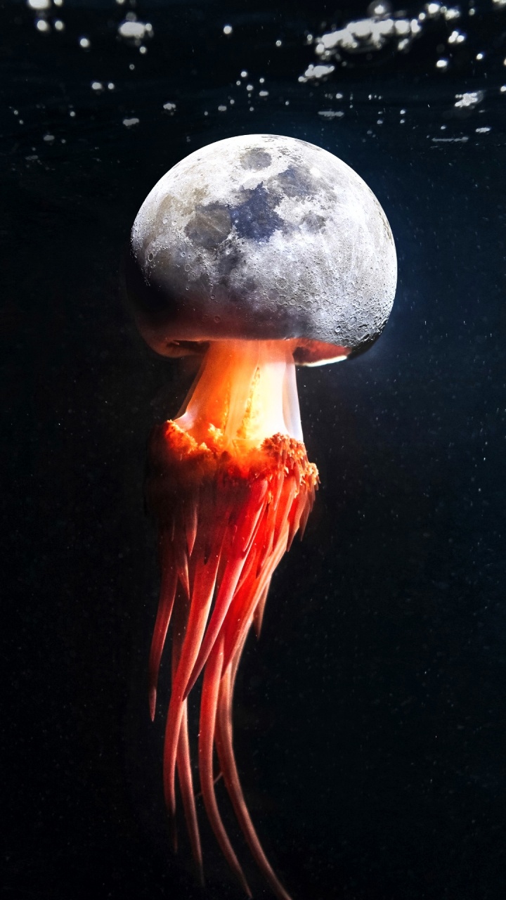 画布, 海报, 艺术, 拼贴, 超现实主义 壁纸 720x1280 允许