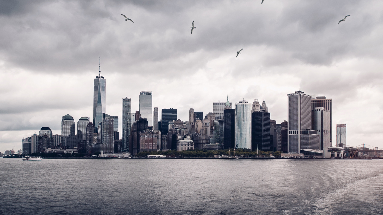 Vögel, Die Tagsüber Über Die Skyline Der Stadt Fliegen. Wallpaper in 1280x720 Resolution