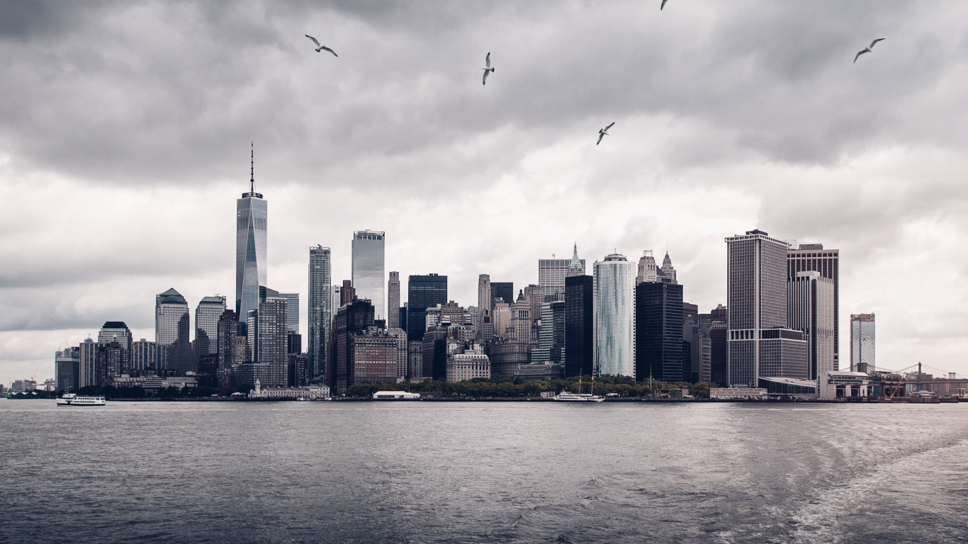 Vögel, Die Tagsüber Über Die Skyline Der Stadt Fliegen. Wallpaper in 1366x768 Resolution