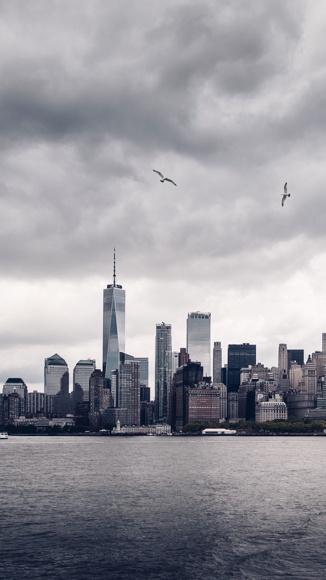 Birds Flying Over City Skyline During Daytime. Wallpaper in 1080x1920 Resolution