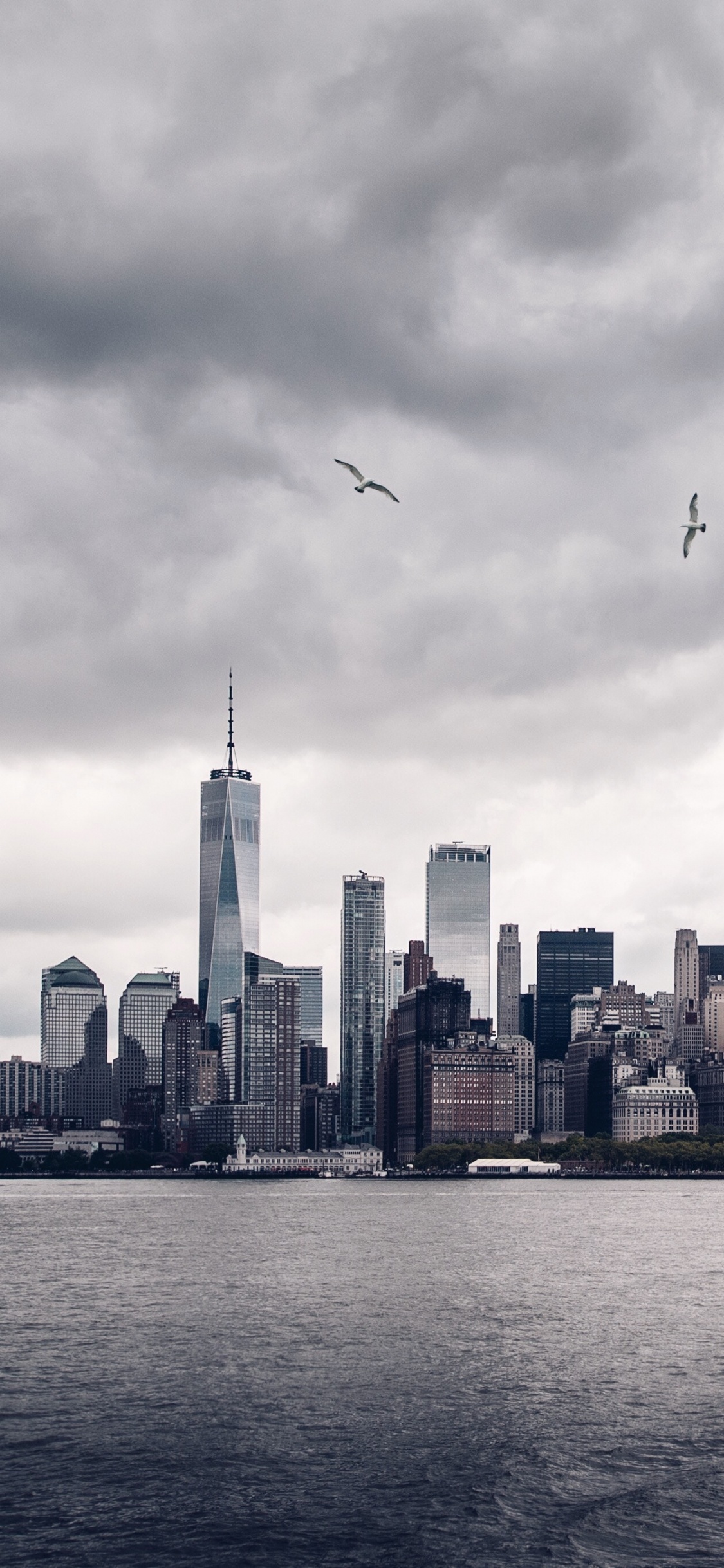 Birds Flying Over City Skyline During Daytime. Wallpaper in 1125x2436 Resolution