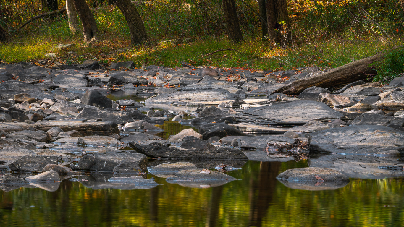 反射, 人体内的水, 性质, 自然景观, 自然环境 壁纸 1366x768 允许