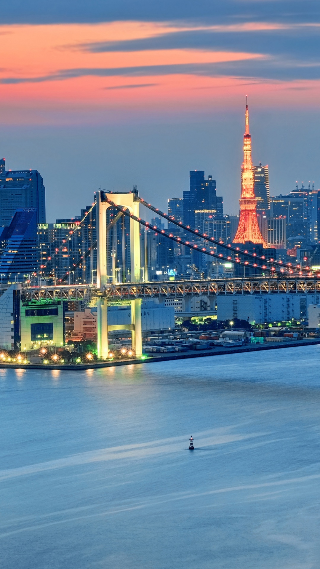 Bridge Over Water Near City Skyline During Night Time. Wallpaper in 1080x1920 Resolution