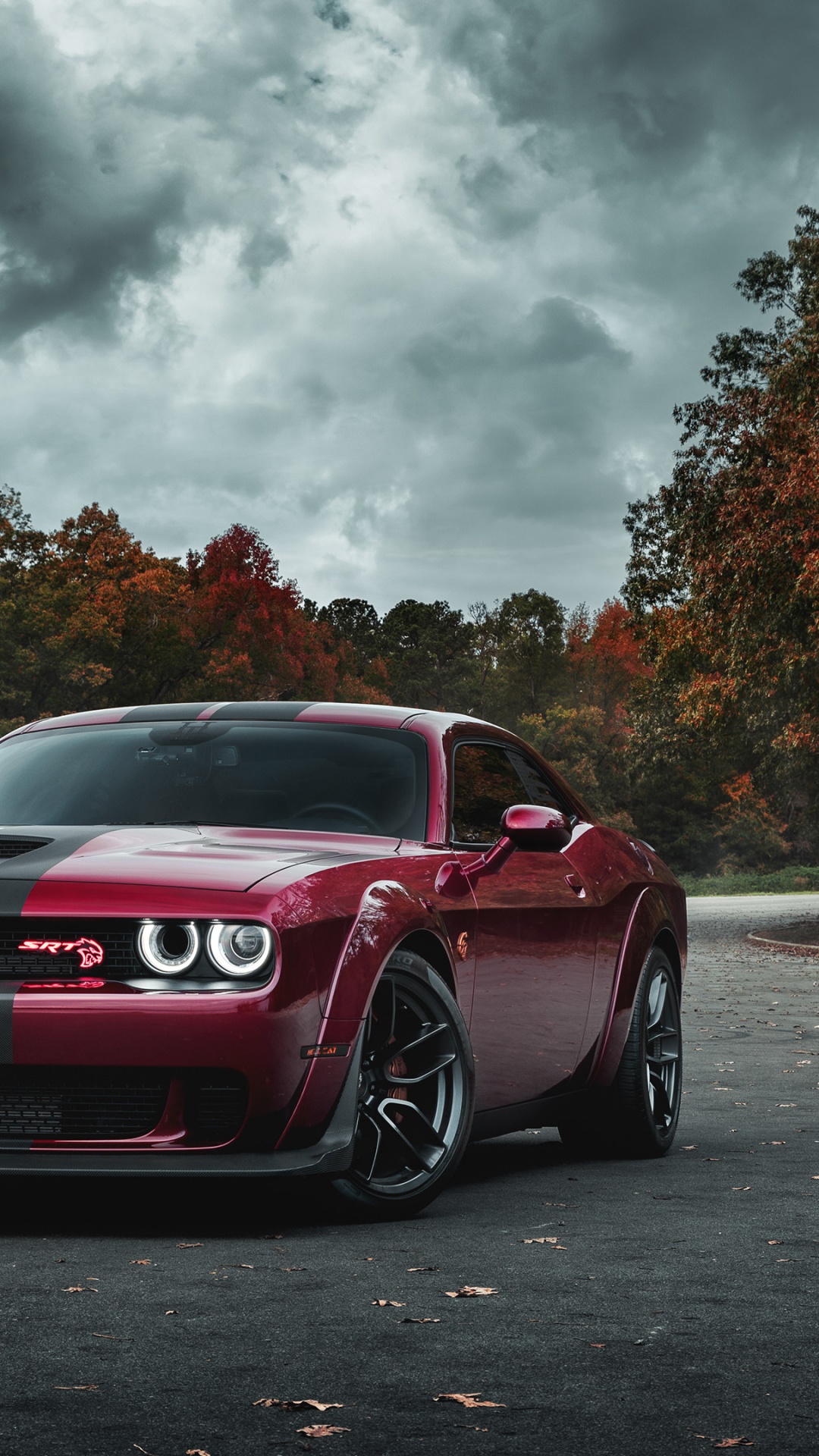 Dodge Charger SRT Hellcat, 2017 Dodge Challenger, Dodge, King, 2019 Dodge Challenger SRT Hellcat. Wallpaper in 1080x1920 Resolution