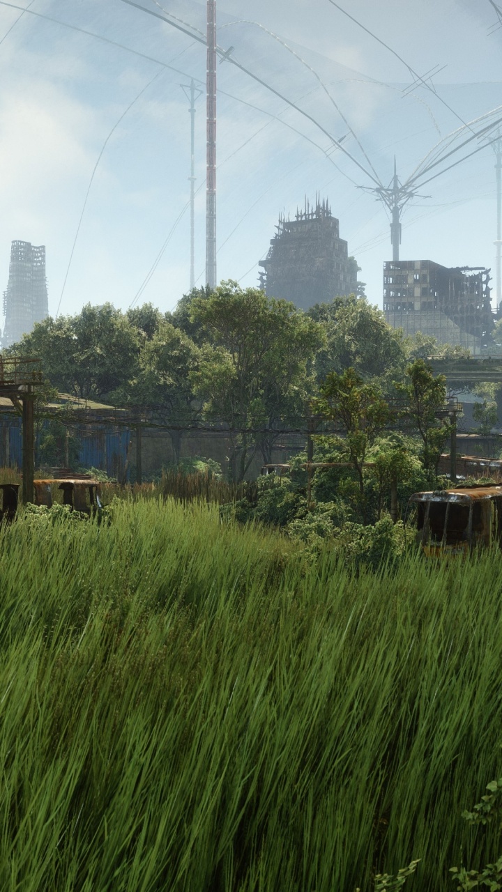 Crysis 3, Vegetation, Biome, Land Lot, Mill. Wallpaper in 720x1280 Resolution