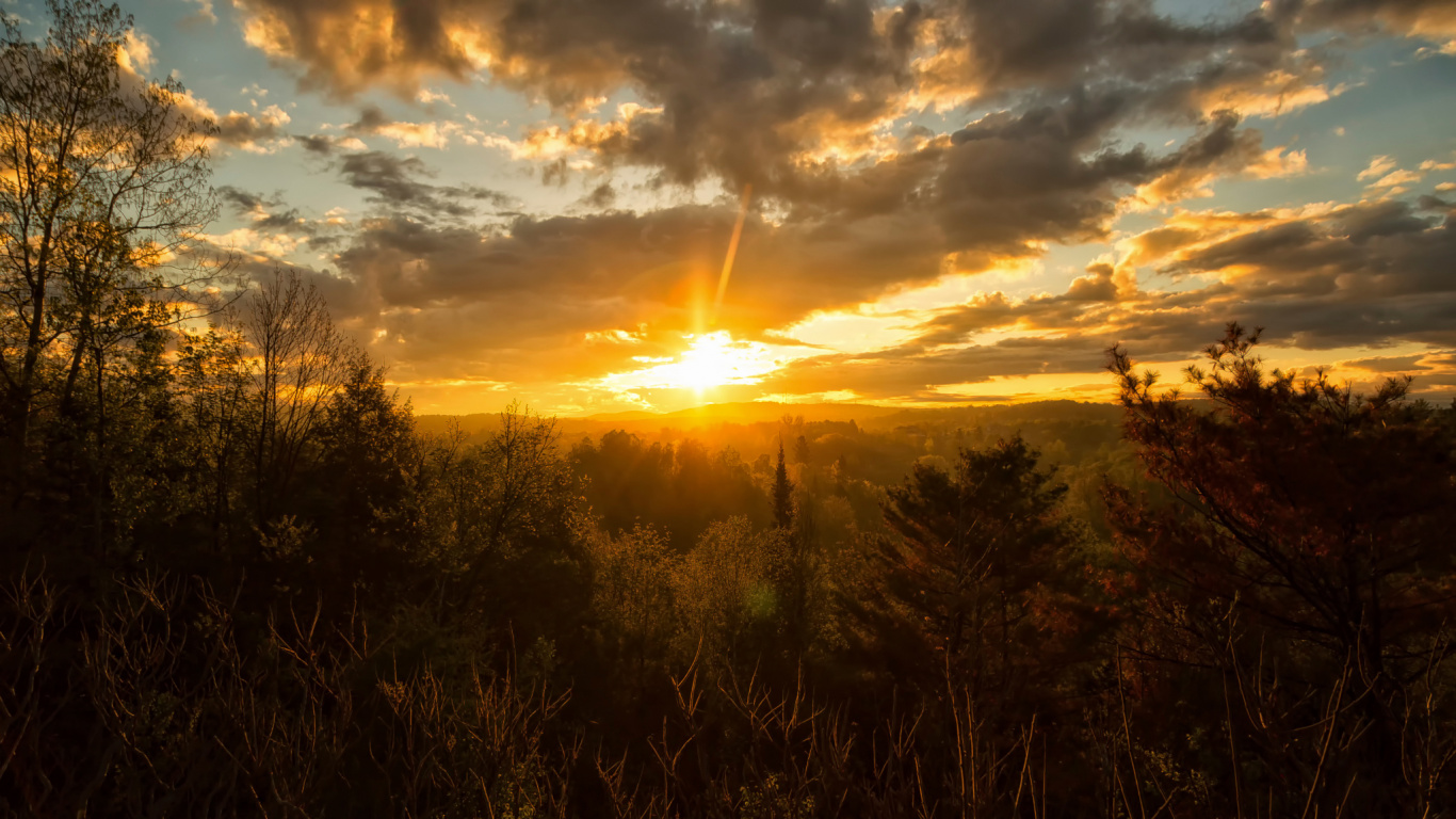 Champ D'herbe Verte Pendant le Coucher du Soleil. Wallpaper in 1366x768 Resolution