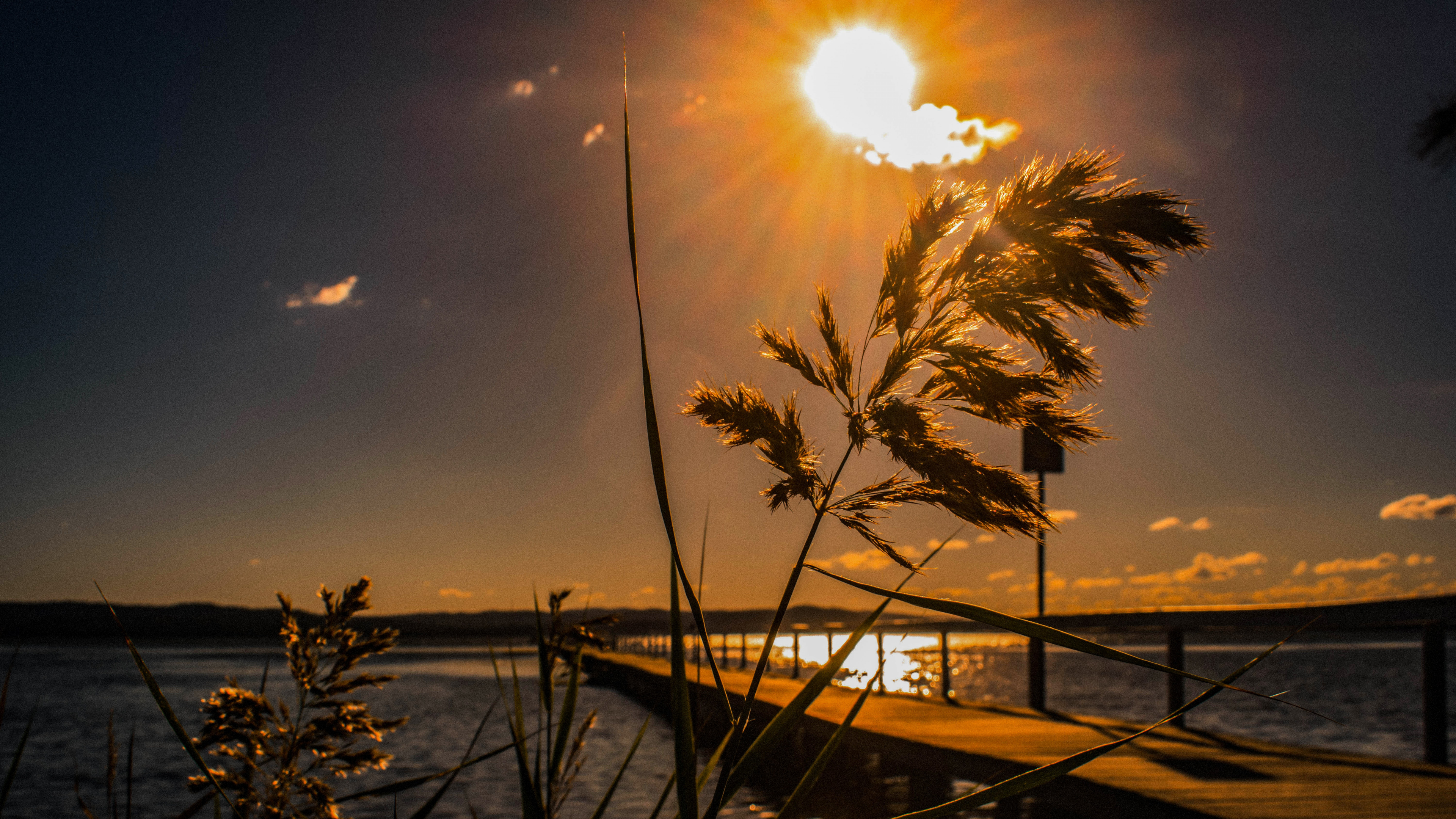 Sunset, Water, Sun, Horizon, Tree. Wallpaper in 3840x2160 Resolution