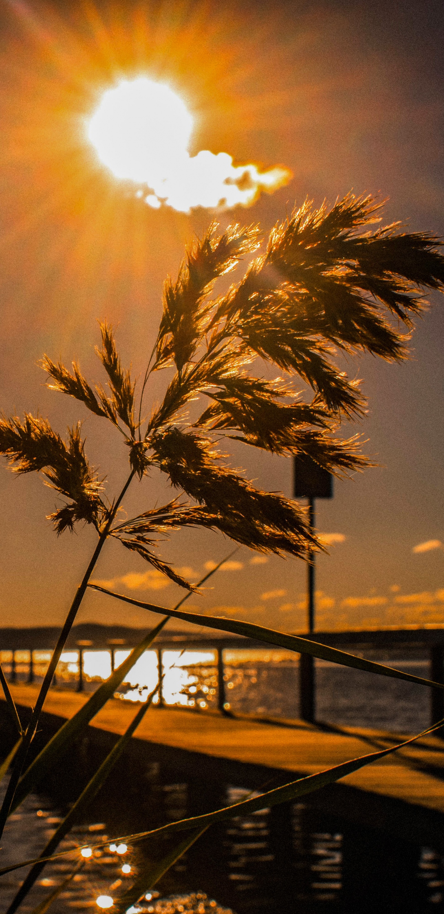 Puesta, Agua, Sol, Noche, Mar. Wallpaper in 1440x2960 Resolution