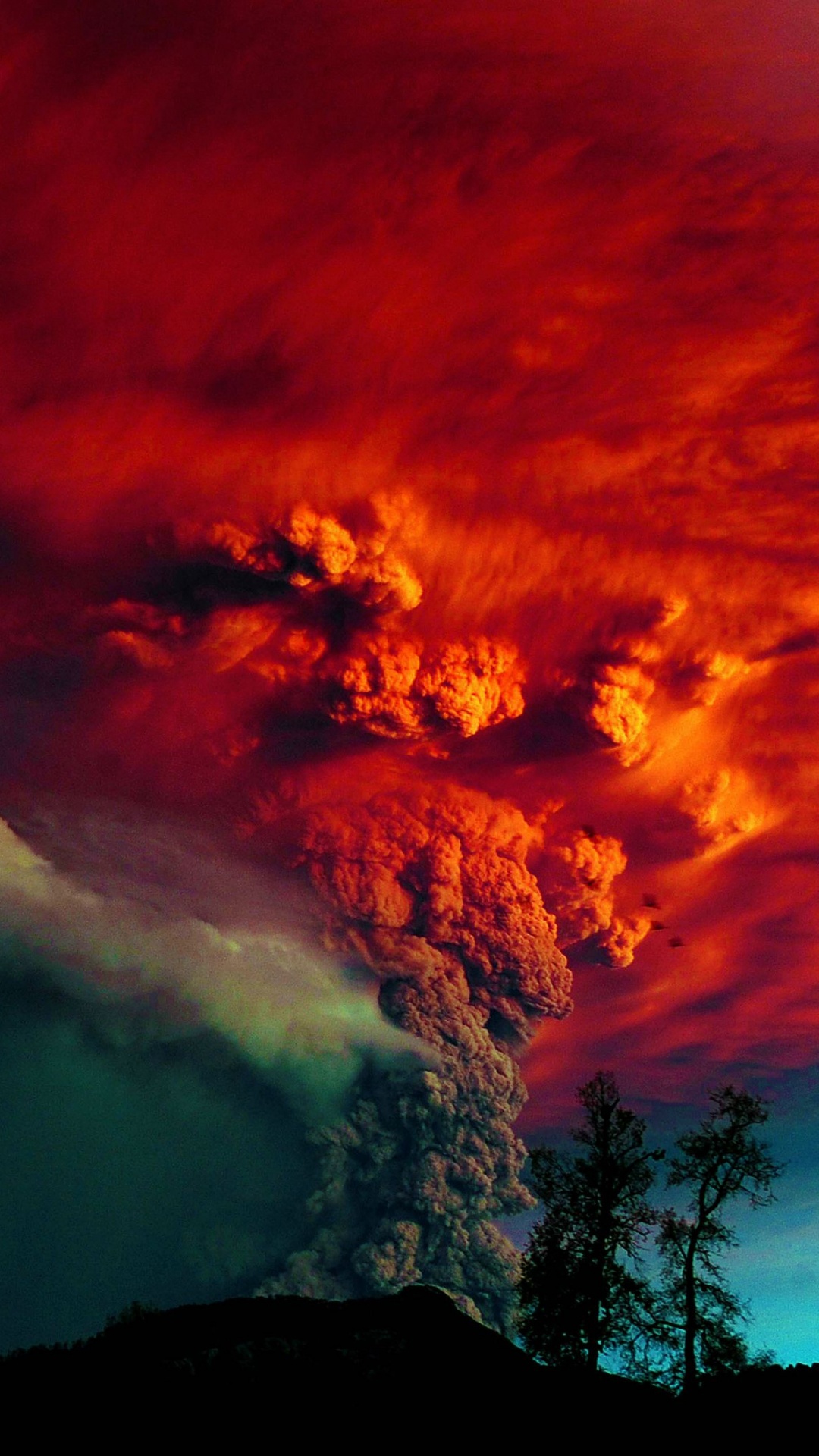 Nuages Orange et Gris Au-dessus Des Arbres. Wallpaper in 1080x1920 Resolution