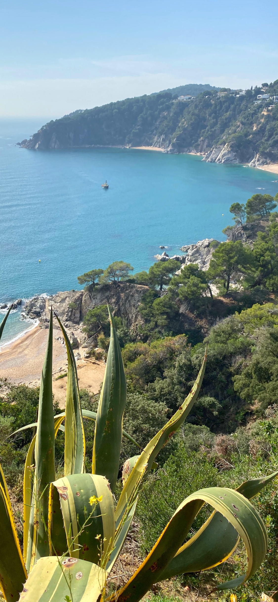 Coast, Vegetation, Plant Community, Ocean, Terrestrial Plant. Wallpaper in 1125x2436 Resolution