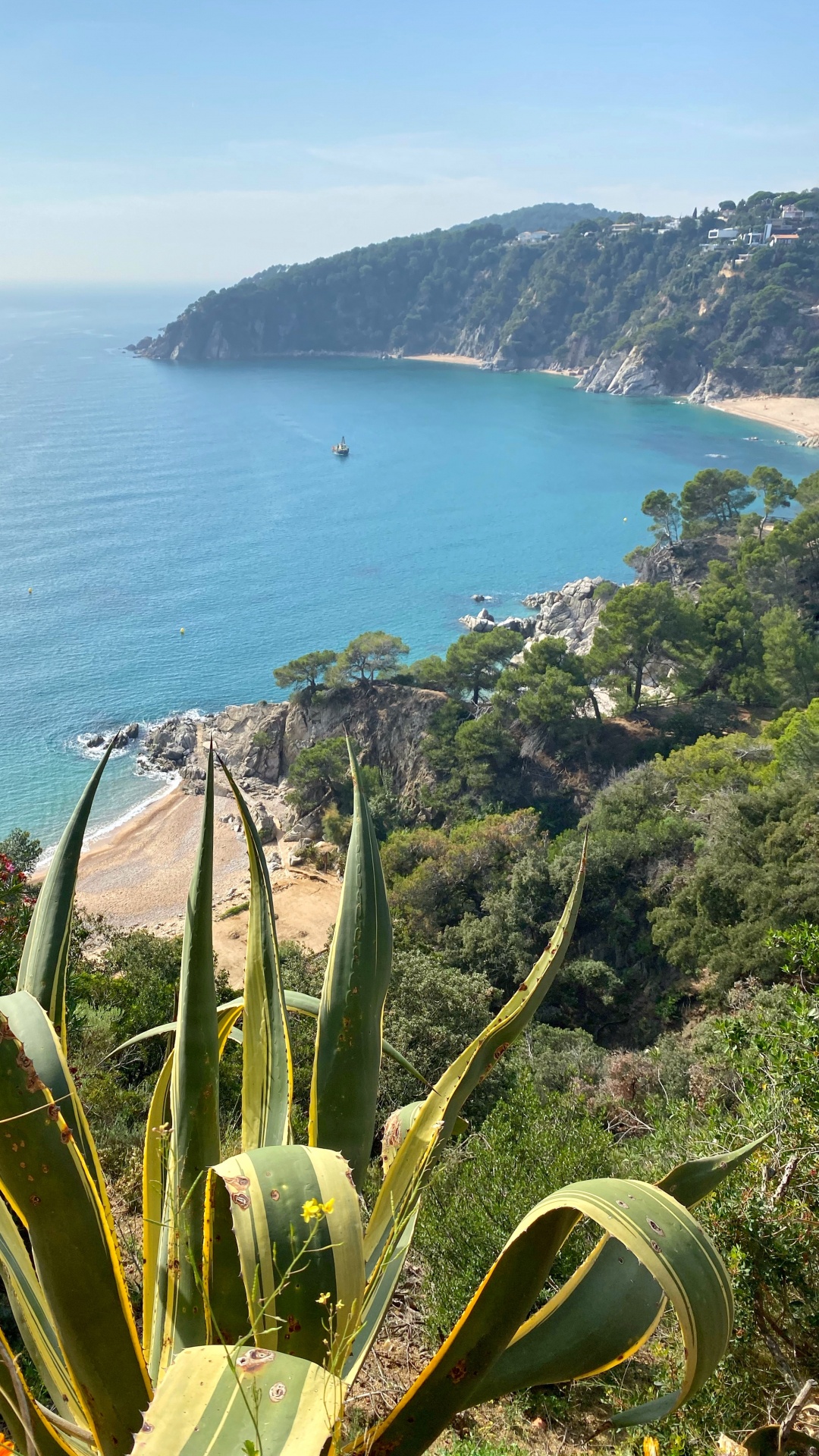 海岸, 植被, 植物群, 海洋, 陆地上的植物 壁纸 1080x1920 允许