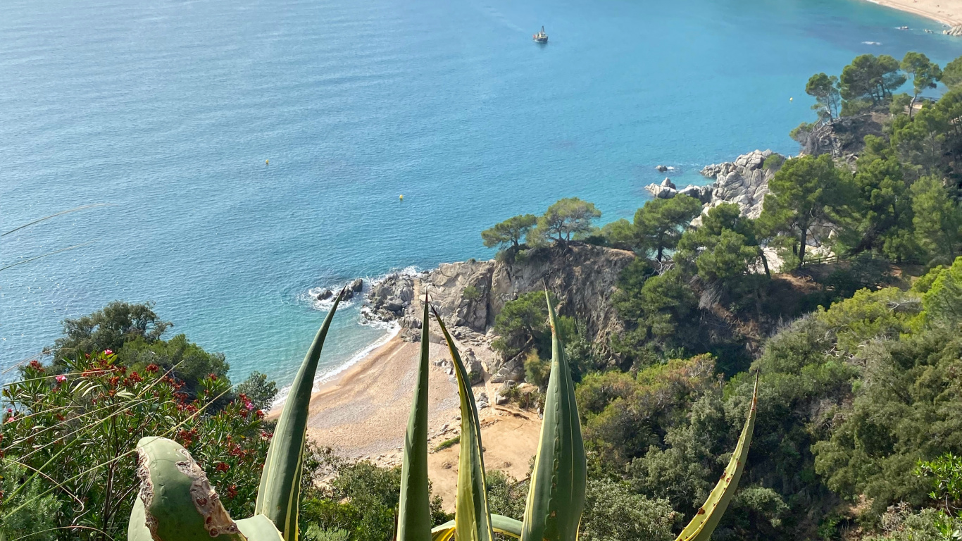海岸, 植被, 植物群, 海洋, 陆地上的植物 壁纸 1366x768 允许