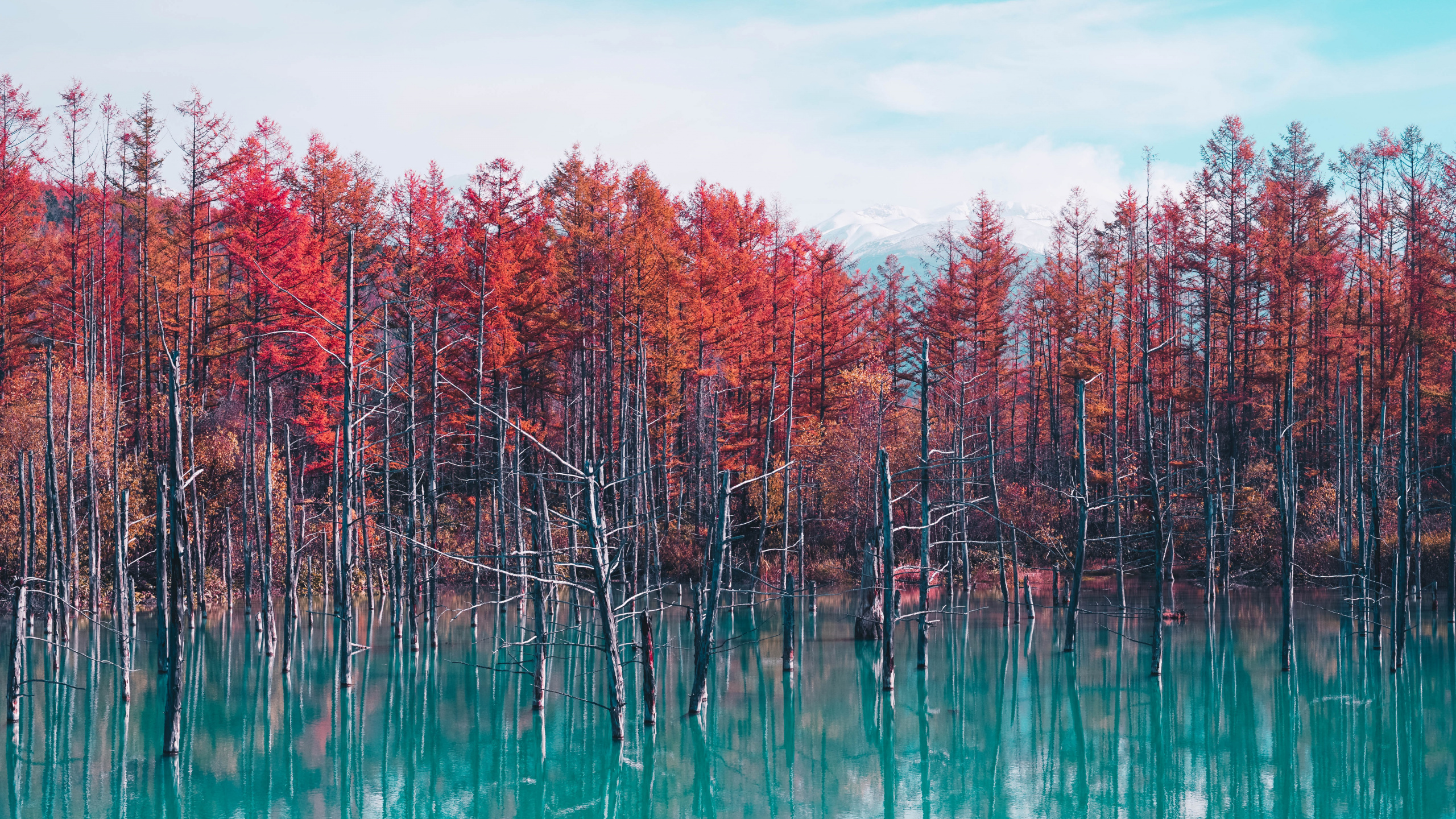 Naturaleza, Reflexión, Paisaje Natural, Rojo, Bioma. Wallpaper in 2560x1440 Resolution