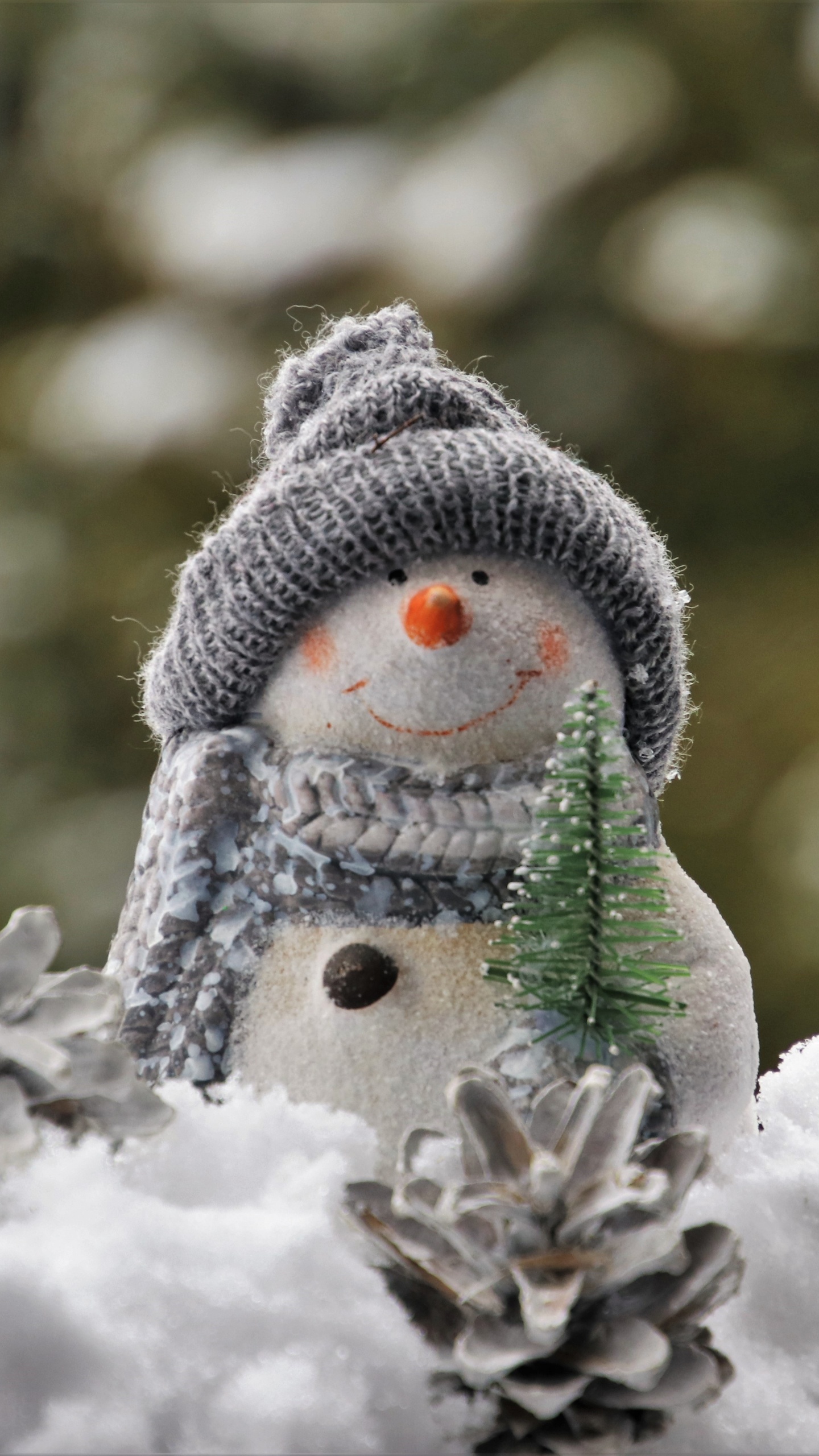 Snowman, Snow, Winter, Frost, Freezing. Wallpaper in 1440x2560 Resolution