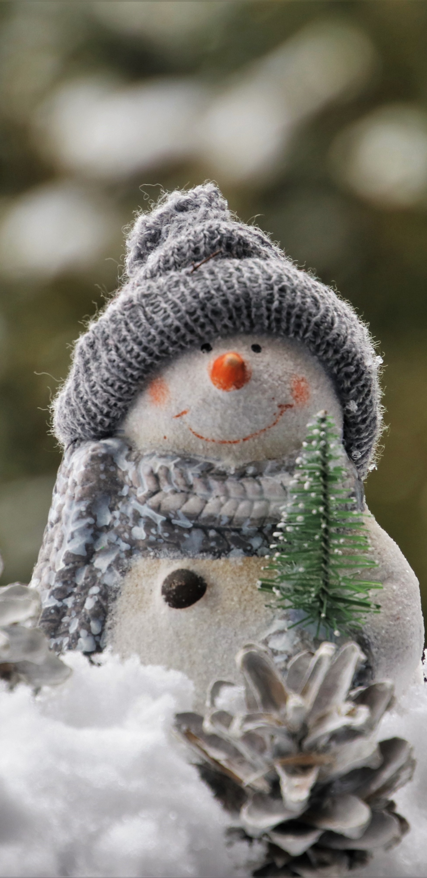 Muñeco, Nieve, Invierno, Helada, Congelación. Wallpaper in 1440x2960 Resolution