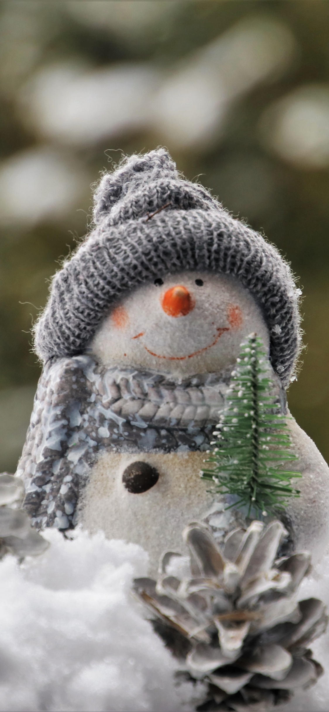 Bonhomme, Neige, Hiver, Gel, Congélation. Wallpaper in 1125x2436 Resolution