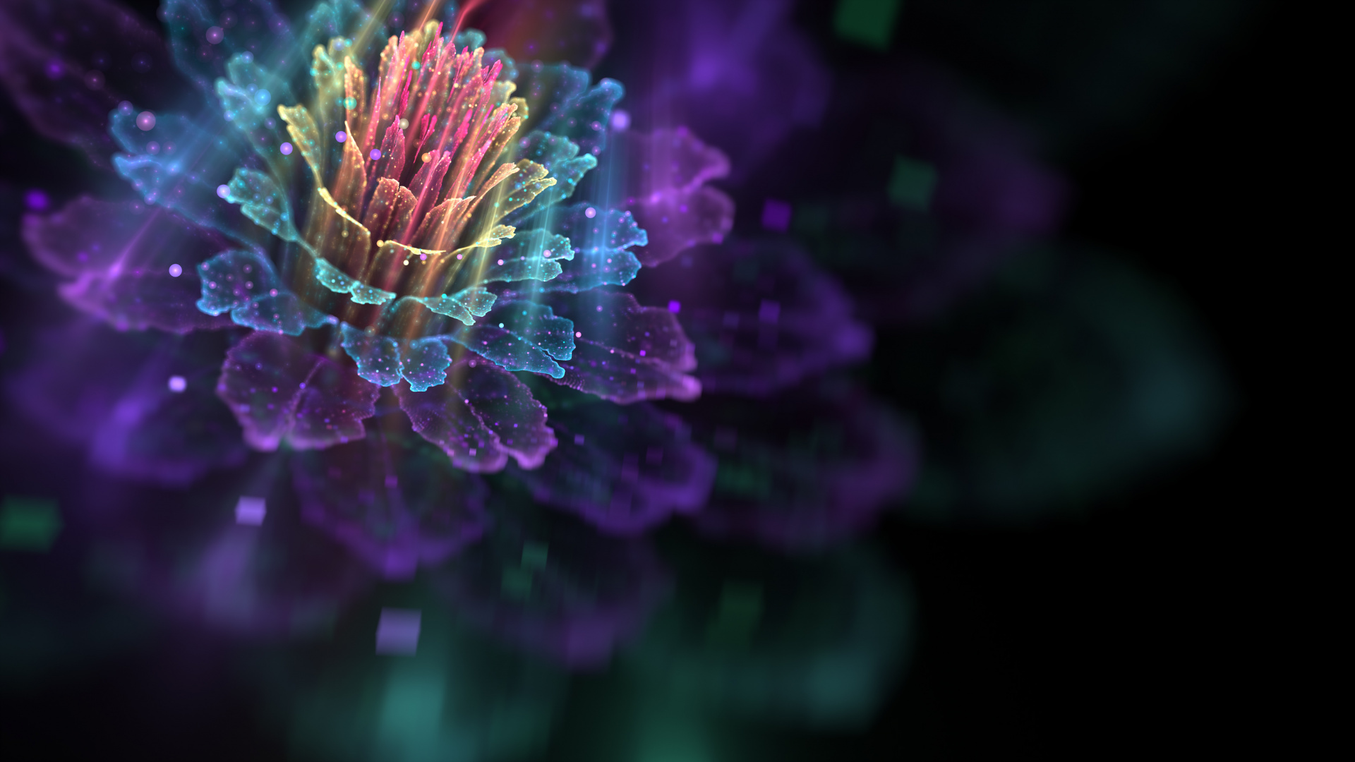 Purple Flower Buds in Tilt Shift Lens. Wallpaper in 1920x1080 Resolution