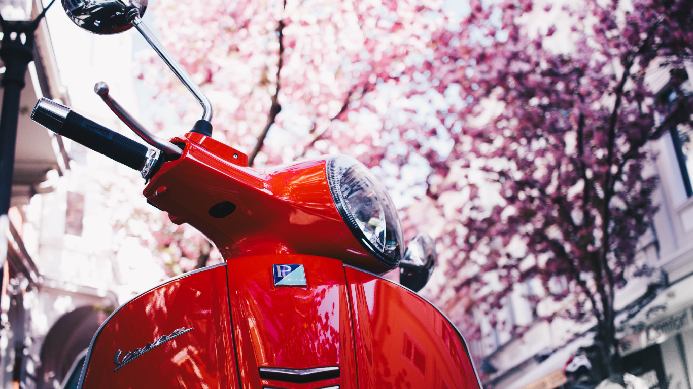 Roter Und Schwarzer Motorroller. Wallpaper in 1366x768 Resolution