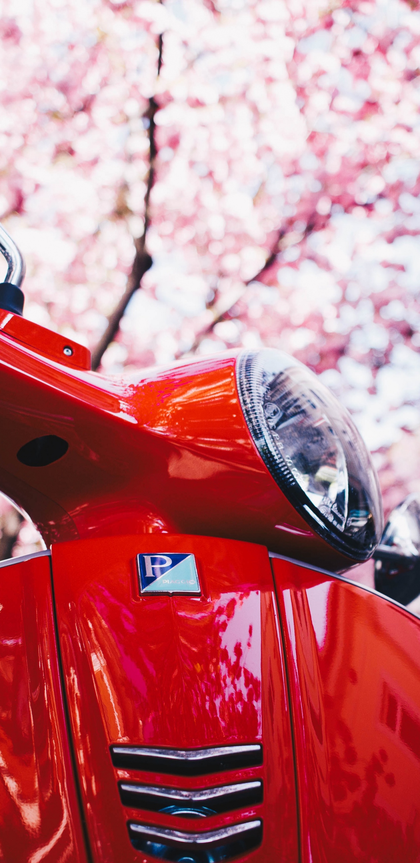 Scooter Rojo y Negro. Wallpaper in 1440x2960 Resolution