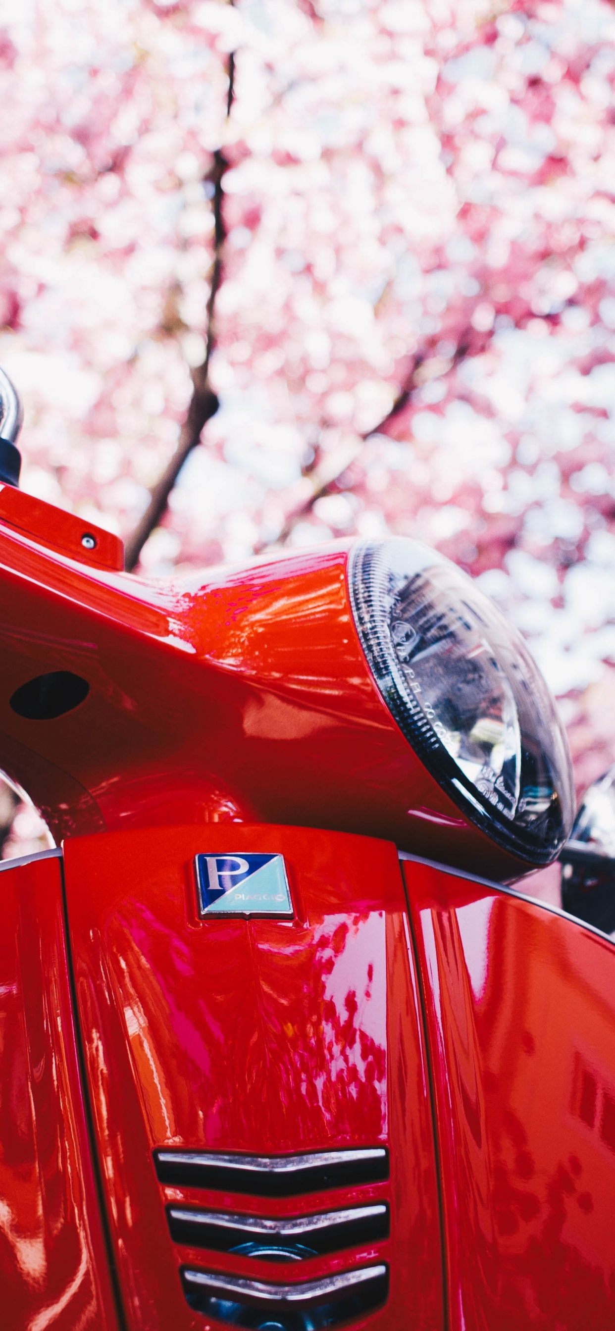 Red and Black Motor Scooter. Wallpaper in 1242x2688 Resolution