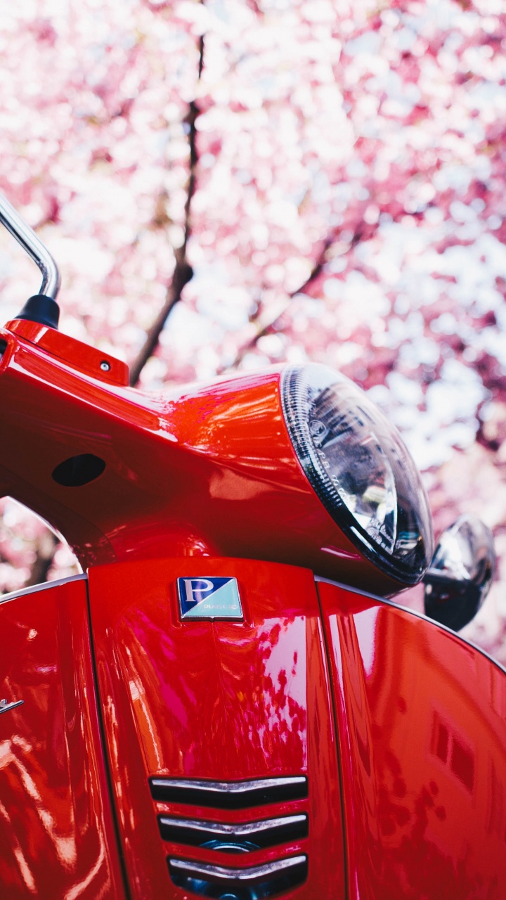Scooter Rouge et Noir. Wallpaper in 720x1280 Resolution