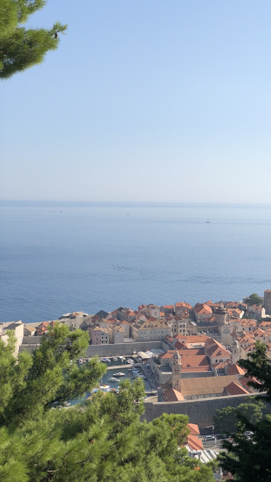 Inmueble, Zona Residencial, Techo, Evergreen, de Coníferas. Wallpaper in 1080x1920 Resolution