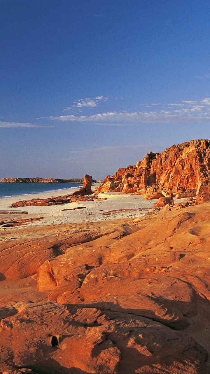 People on Beach During Daytime. Wallpaper in 720x1280 Resolution