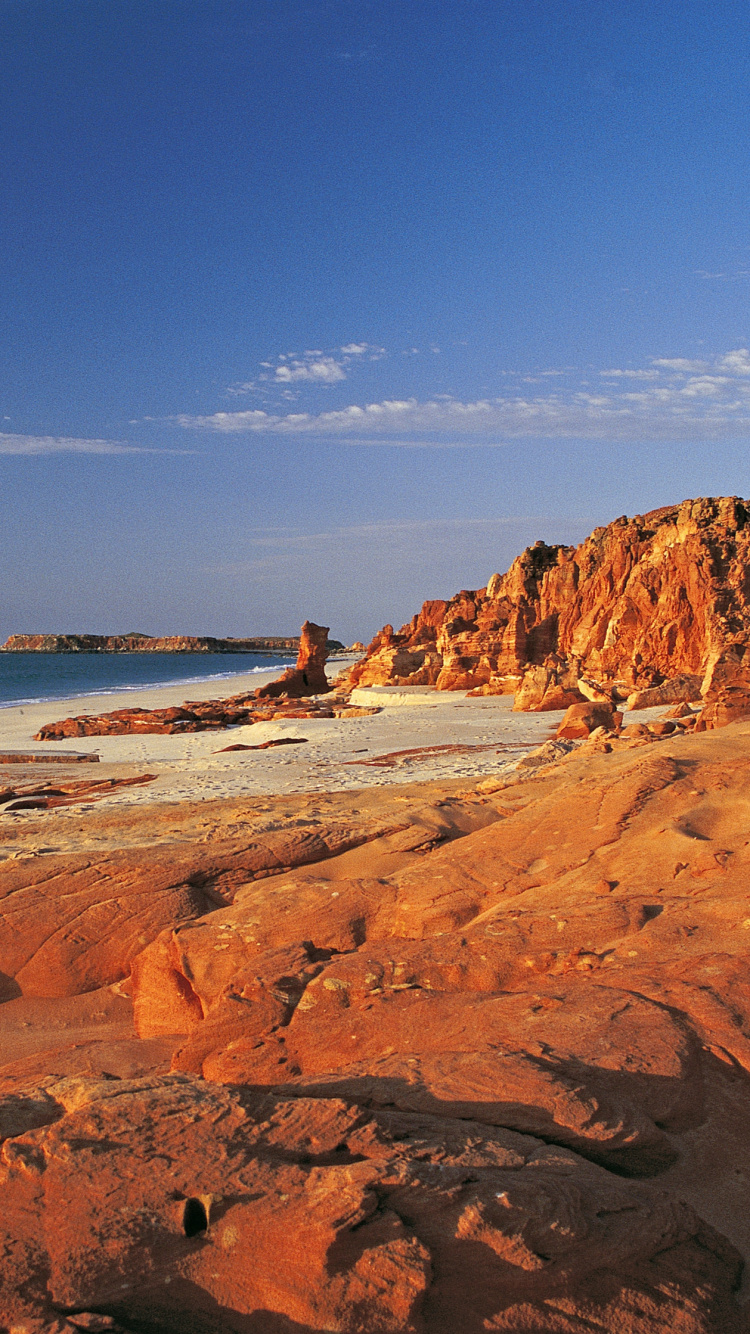 Gente en la Playa Durante el Día.. Wallpaper in 750x1334 Resolution