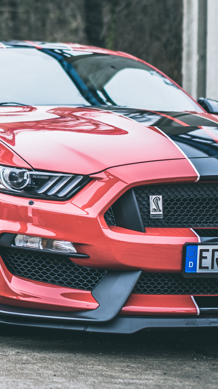 Shelby Mustang, Ford Mustang 2020, Ford Motor Company, Coche, Eleanor. Wallpaper in 750x1334 Resolution