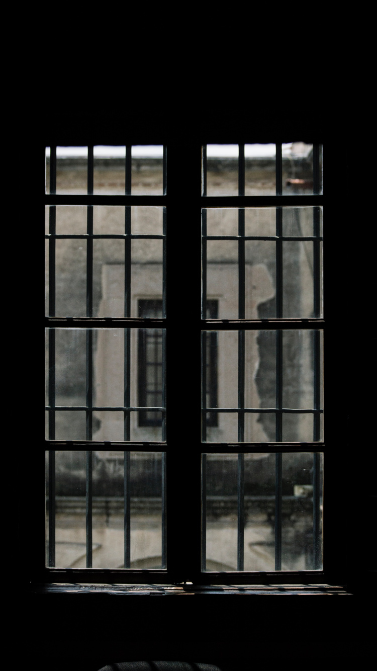 Ventana de Vidrio Con Marco de Metal Negro. Wallpaper in 750x1334 Resolution